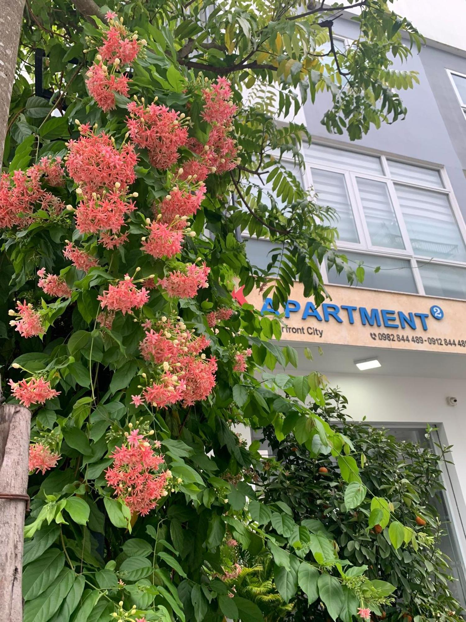 Dk Apartment 1 Hai Phong Bagian luar foto